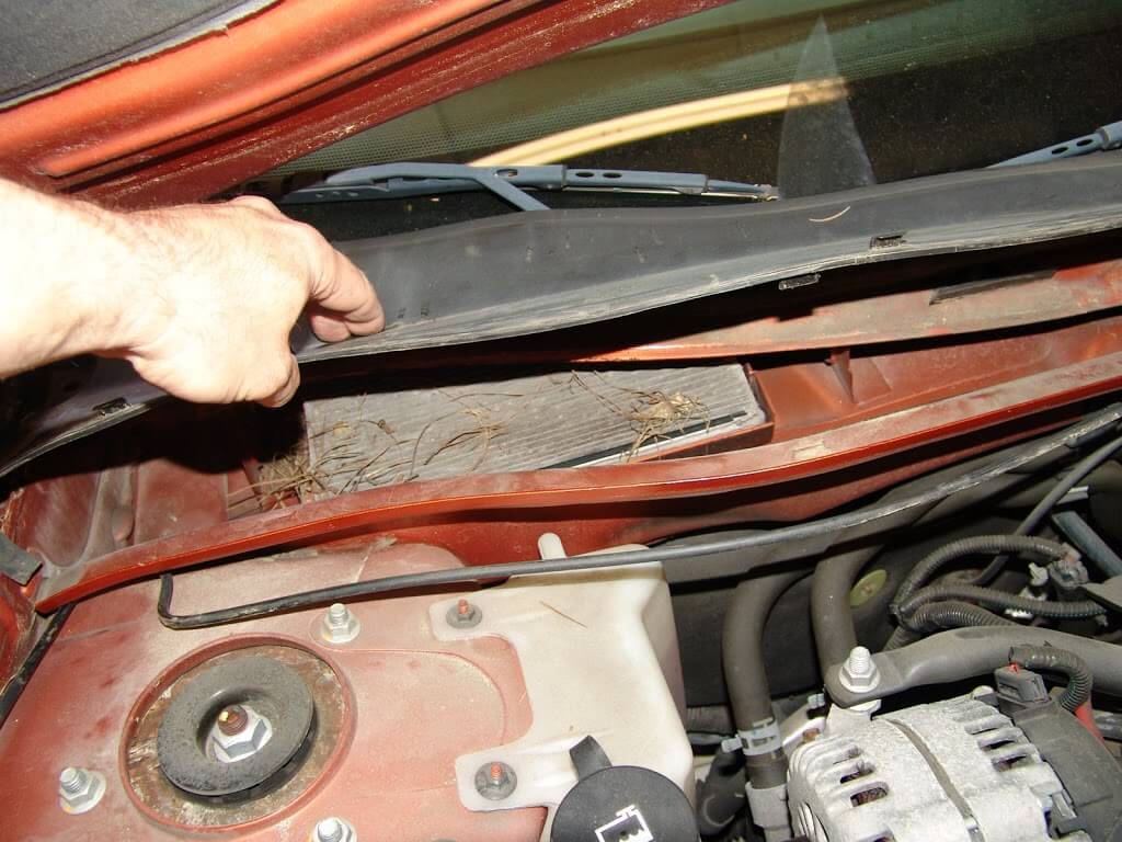 DSC01473 Sparky's Answers